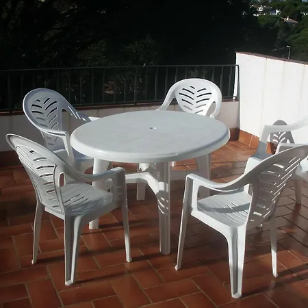 Apartament Cat Apartment