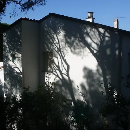 Apartament Cat Apartment