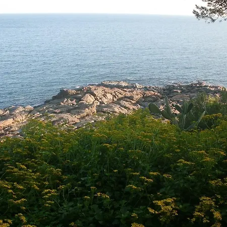 Apartament Cat * Llafranc