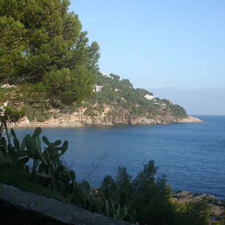 Apartament Cat Llafranc